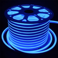 220 Volt 100 Metre Mavi Hortum Neon Şerit Led