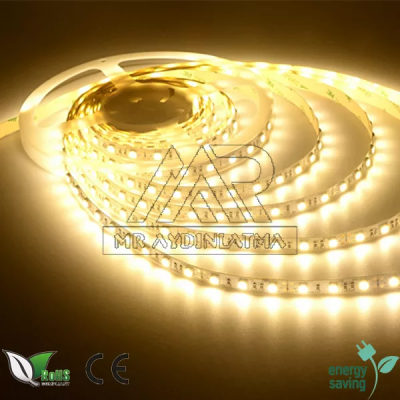 5050 3 Çipli Gün ışığı Şerit Led