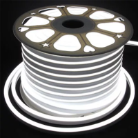 220 Volt 100 Metre Beyaz Hortum Neon Şerit Led